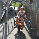 Blumengruppe
